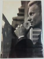Sting(スティング): Sting tour/95 【公演パンフレット】