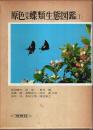 原色 日本蝶類生態図鑑（Ⅰ） 【保育社の原色図鑑 64】