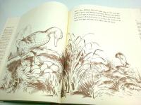 Make Way for Ducklings （かもさんおとおり）【英文絵本】