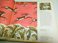 Once a Mouse... （もとはねずみ…）【英文絵本】（著者署名本）