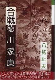 合戦 徳川家康