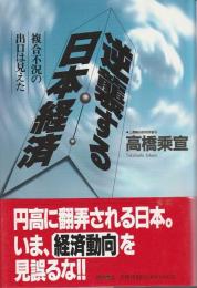 逆襲する日本経済 複合不況の出口は見えた