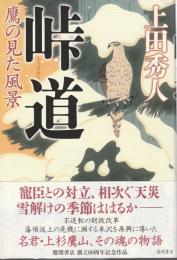 峠道 ―鷹の見た風景