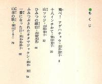 子どもの広場 5年生　五年の夏やすみ