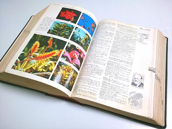 学研 新世紀大辞典(新世紀辞典編集部:編) / 古本、中古本、古書籍の