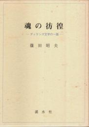 魂の彷徨 ―ディケンズ文学の一面
