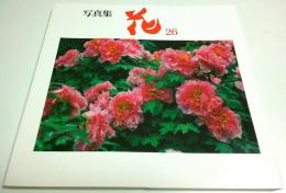 写真集 花 26