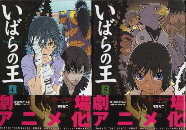 王のいばら(17) (冬水社・いち*ラキコミックス) (いち・ラキ