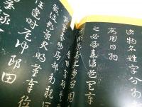 墨 第162号　特集:書体シリーズ(1)草書 楽しくマスターする「草書」 ―精拓鑑賞 十七帖・月儀帖・急就章（2003年5・6月号）