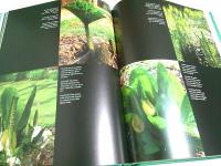 Gardens in France 【英仏独対訳洋書】