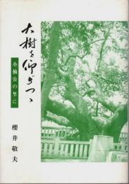 大樹を仰ぎつゝ ―小楠公の里に