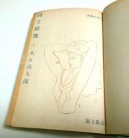 詩と暗号 ―連続探偵小説