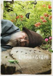 モリのいる場所 【映画プレスパンフレット】（チラシ付）