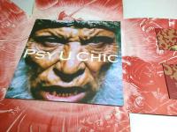 いのうえ歌舞伎 西遊記 PSY U CHIC ―仮名絵本西遊記より【公演パンフレット】