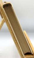 明治文学展望