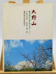 大野山 : 大野城・四天王寺をめぐって