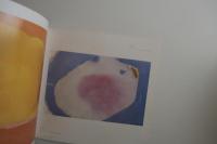 ヘレン・フランケンサーラー展 : その小品にみる1949年から1977年までの歩み