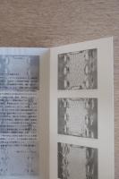 中西夏之 1987年 白いクサビ ー 日射の中で フライヤー