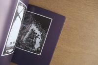 Green Dog Trumpet and Other Stories