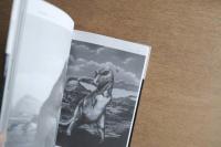 辰巳四郎とイラストレーション