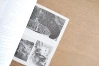 TSU KU RU : Aesthetics at Work