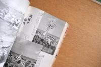 基地沖縄 カメラで捉えた10年