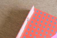 TOKYO ELEVEN PARADISE