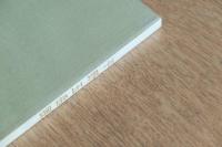 平野五岳展図録 没後100年