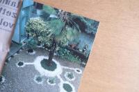 lammfromm aida makoto volume 2