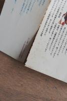 デザインとは何か : 伝統美と現代 ＜講談社現代新書 346＞