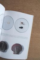 デザインの現場　DESIGNERS’ WORKSHOP VOL.11 NO.70