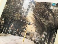 ’85 けやき通りウォーキングポイント