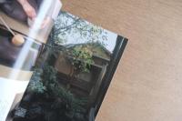 太陽 35巻2号=No.431(1997年2月) ＜特集 : 李朝を愉しむ＞