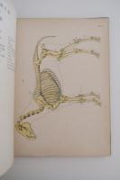 家畜解剖図譜　馬之部　第一輯・第二輯