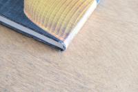 ジャパニーズ・モダン : 剣持勇とその世界