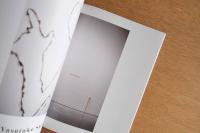 椿会展 2016年 初心