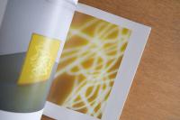 椿会展 2016年 初心