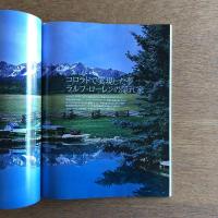 ELLE DECO エル・デコ 2003年6月号