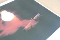 今村光彦 写真展 ポスター 第20回木村伊兵衛賞受賞記念