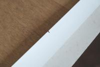 George Eastman House Collection 光の言葉展 ポスター