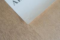 アルフレッド・スティーグリッツと野島康三 展覧会ポスター