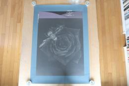 石井宏明 写真展ポスター「STILL, and GO.」