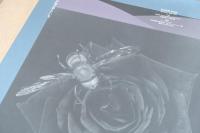 石井宏明 写真展ポスター「STILL, and GO.」