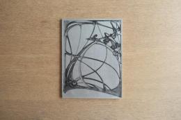 Hector Guimard アール・ヌーヴォー作品集