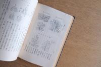 建築設計と装飾美