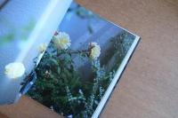 TOKYO CHANEL MOBILE ART ISSUE 2