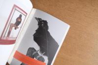 驚異の部屋 Chamber of Curiosities KUM Version