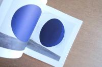 Anish Kapoor : British Pavilion, XLIV Venice Biennale, May–September 1990