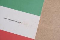 Nemo Propheta in Patria