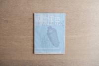 国際建築 1950年2月号